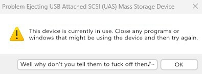 Windows dialogue about failing to eject an USB drive, because an application is using it. Aside of "OK", a new button says "Well why don't you tell them to fuck off♪~"